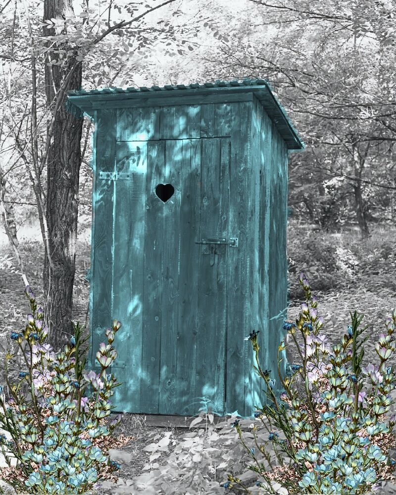 teal gray wall art photo print vintage outhouse home bath